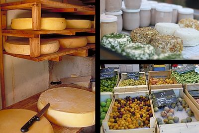 Circuit oenologique en France