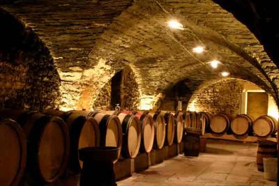 Circuit oenologique en France